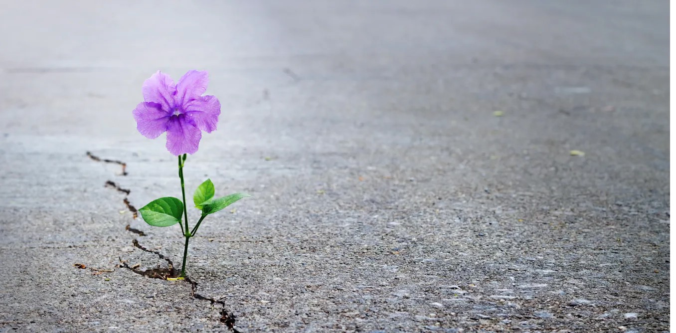 خۇش خەۋەر بەرگىن